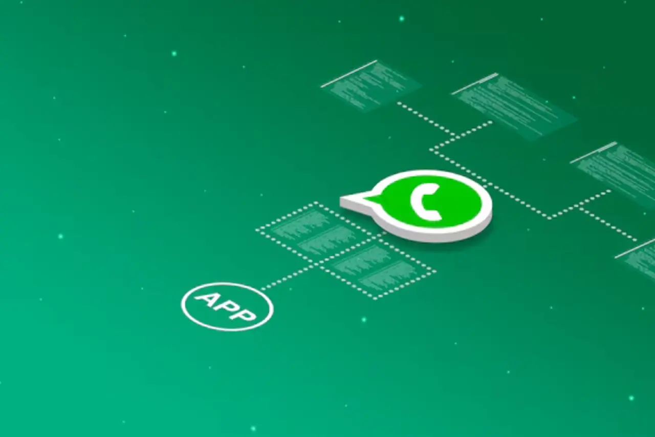 Top WhatsApp Automation Services in Delhi NCR for Businesses